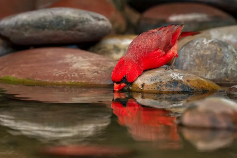 Providing Fresh Water