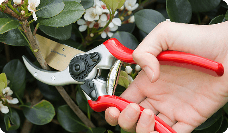 Pruning Techniques