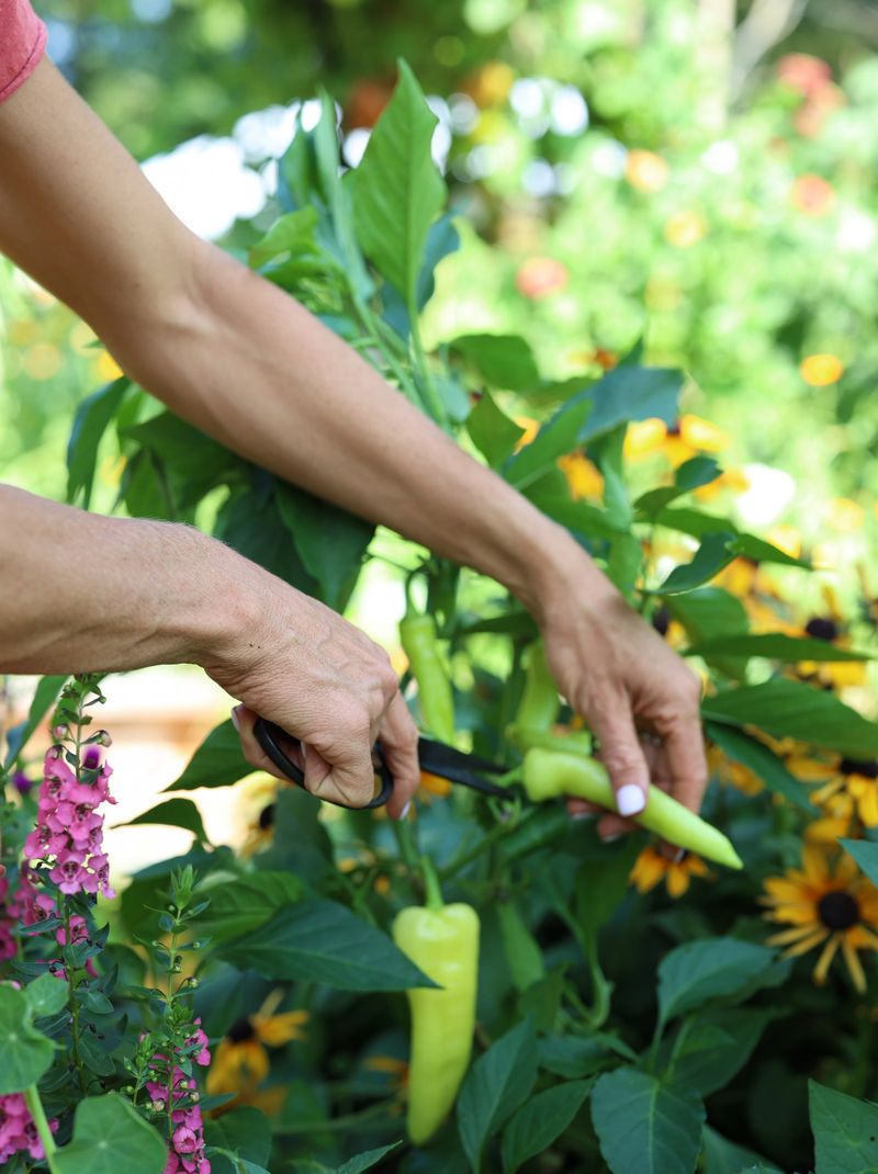 Pruning and Trimming