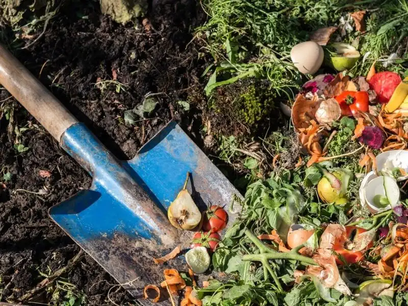 Quick Composting Methods