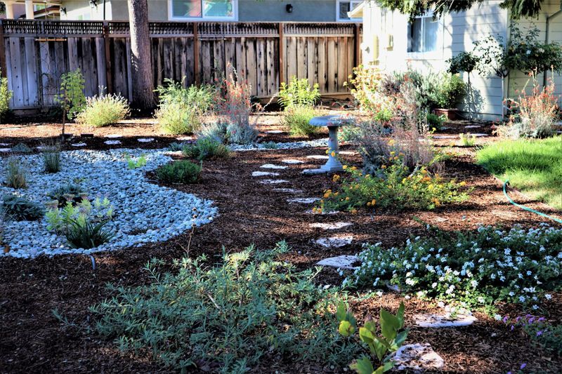 Rain Gardens