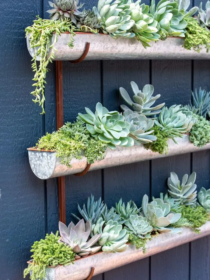 Rain Gutter Planters