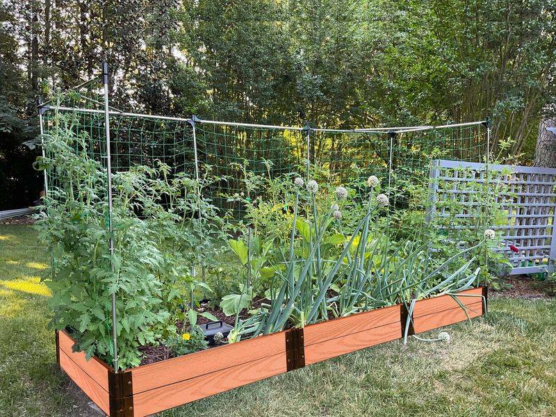 Raised Garden Beds