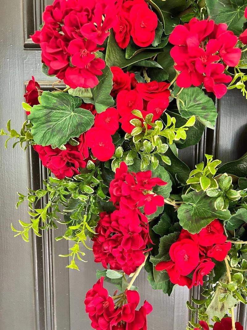 Red Geraniums