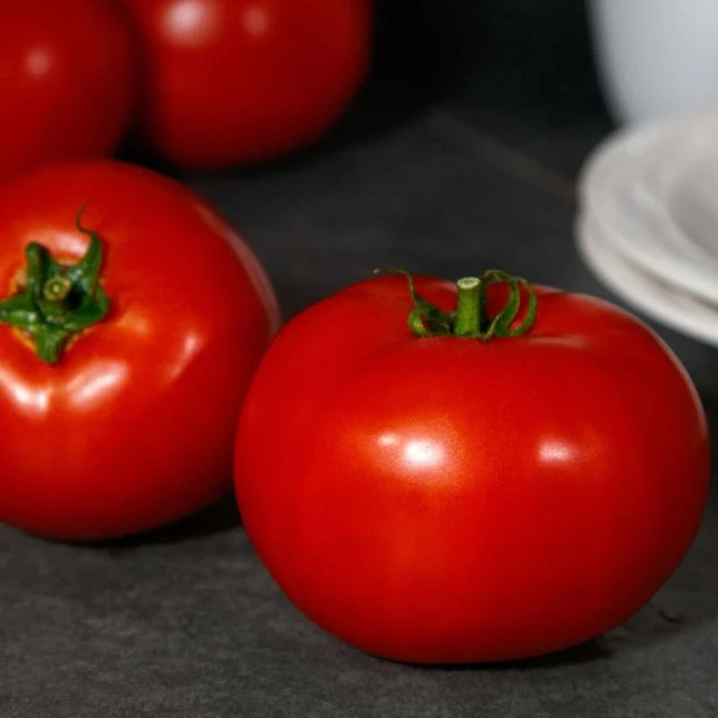 Red Snapper Tomatoes