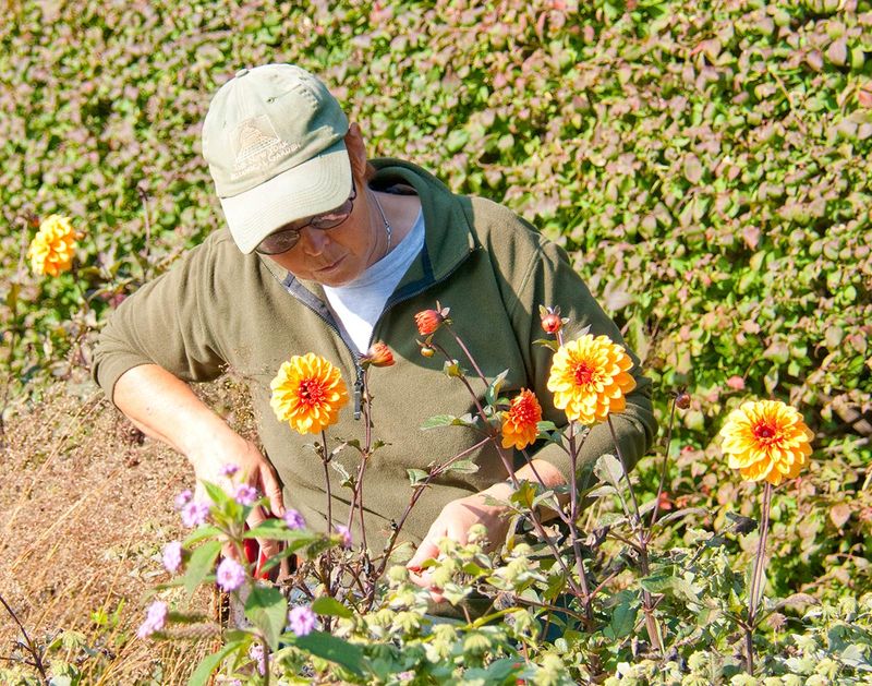 Reduce Pesticide Use