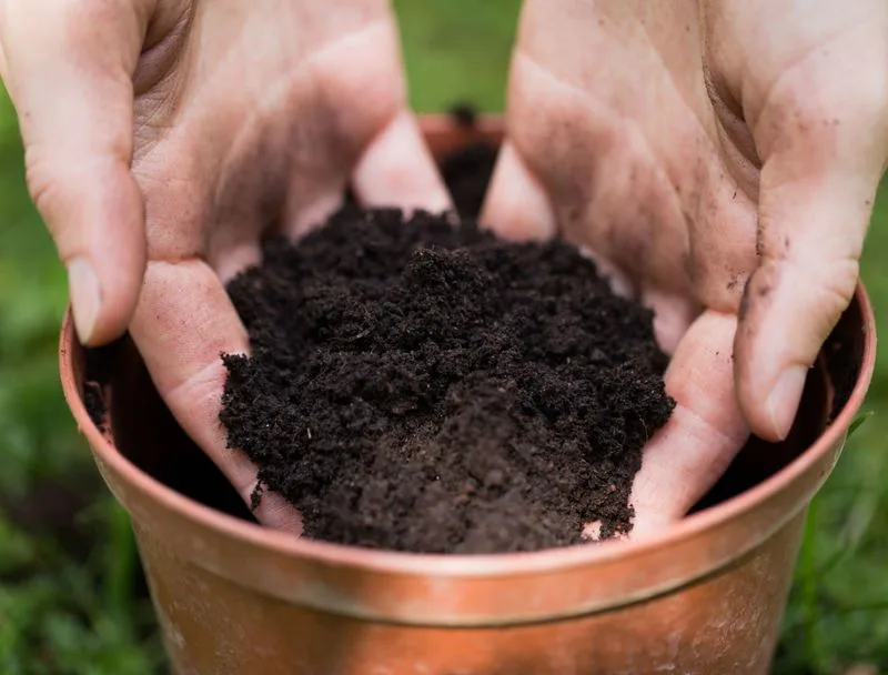 Refresh Potting Soil