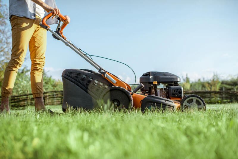 Regular Mowing of Affected Areas