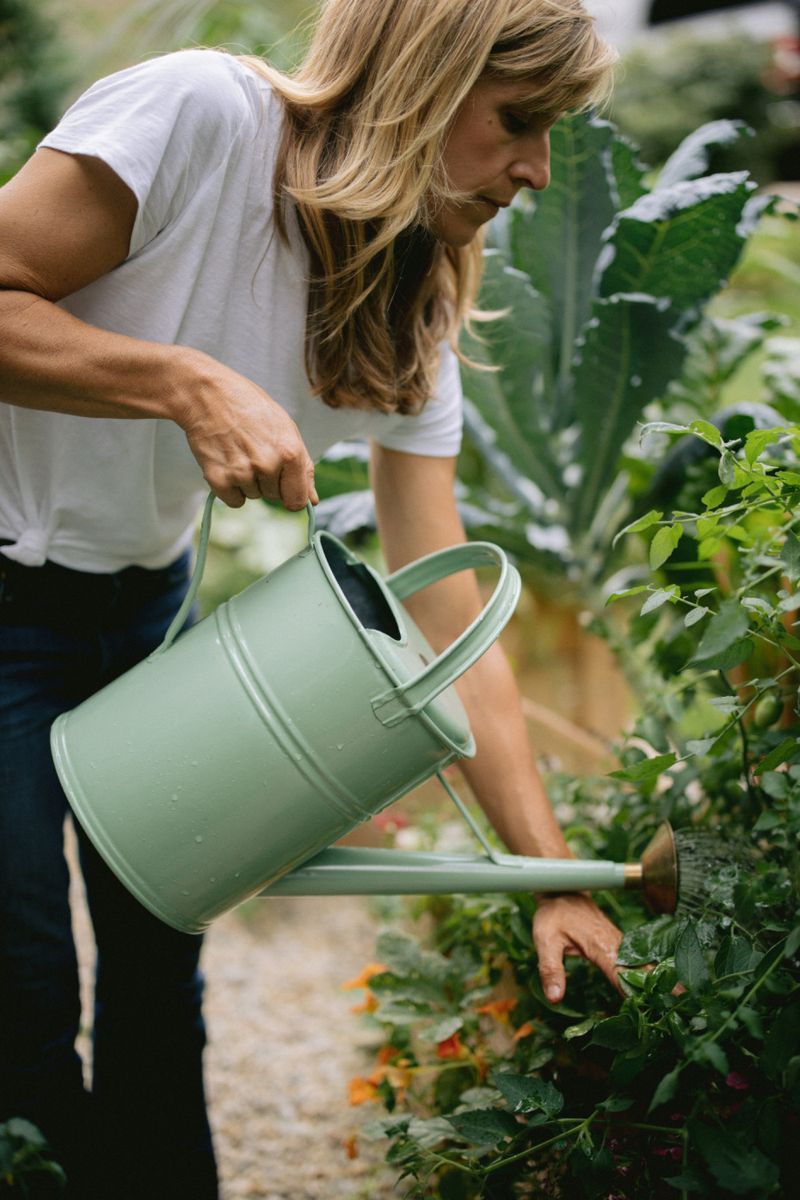 Regular Watering Routine