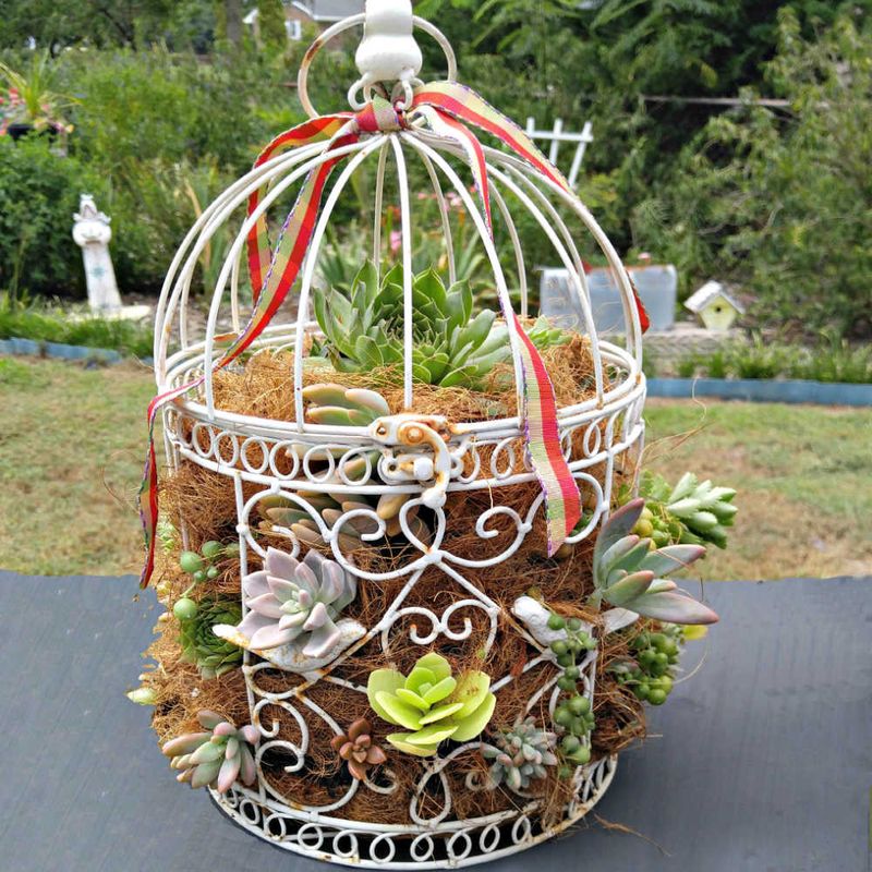 Repurposed Birdcage Planter