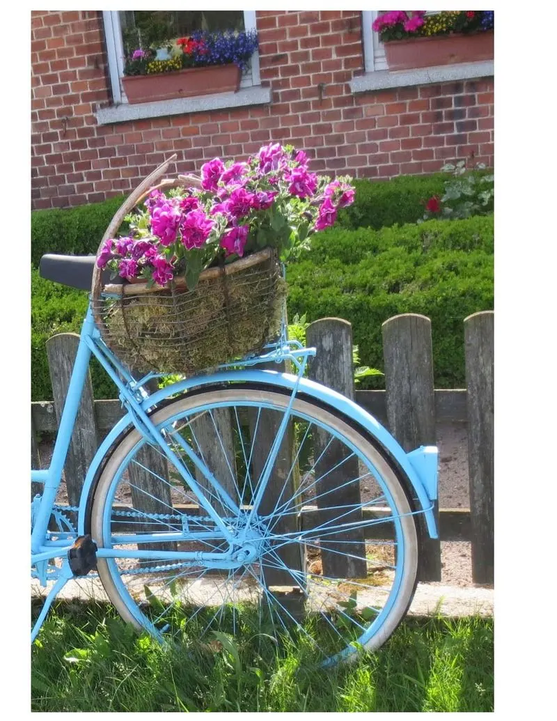 Repurposed Vintage Bicycle Planter