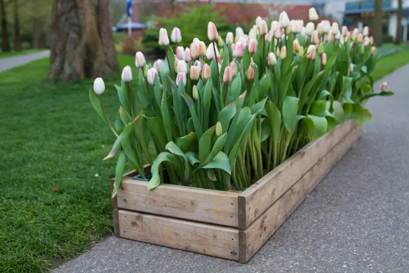 Repurposed Wooden Crate Display