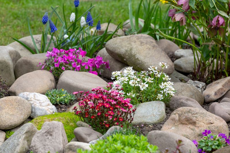 Rock Gardens