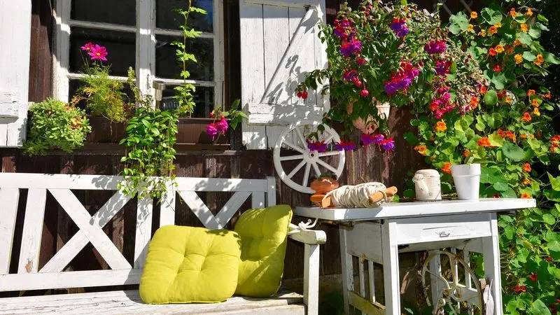 Rustic Charm