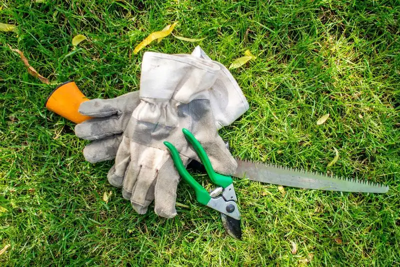 Sanitizing Garden Tools