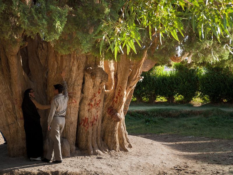 Sarv-e Abarqu, Iran