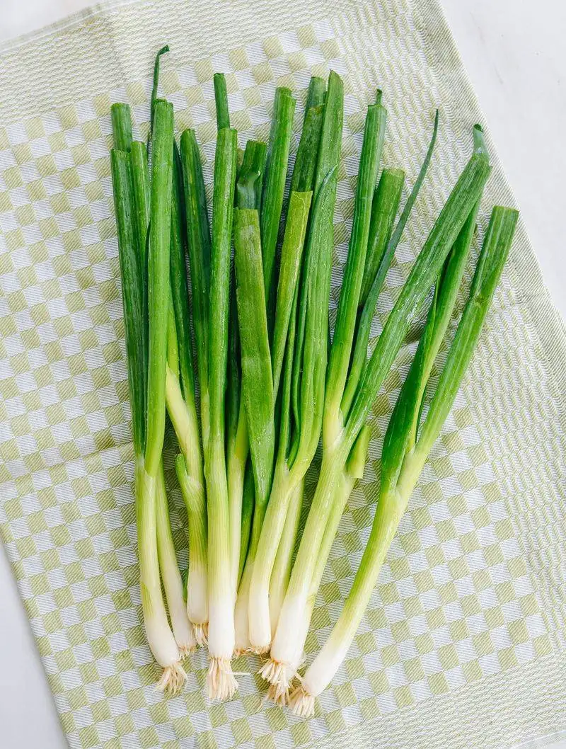 Scallions