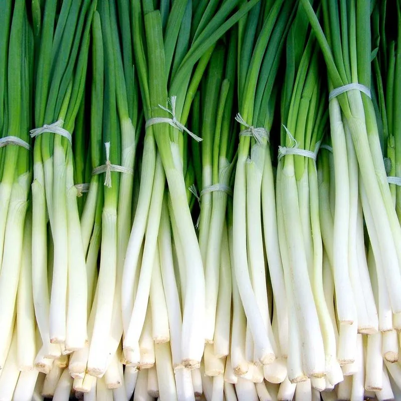 Scallions