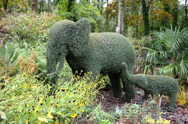 Sculpted Topiary Animals