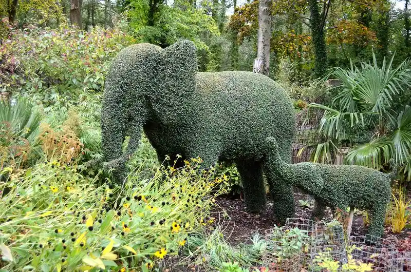 Sculpted Topiary Animals