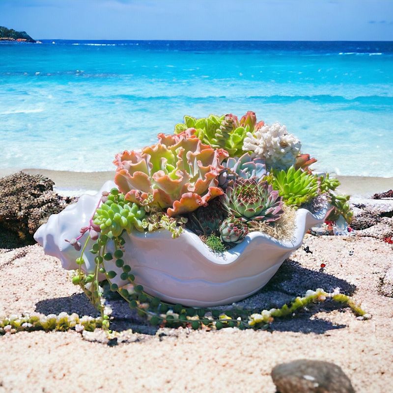 Seashell Planter