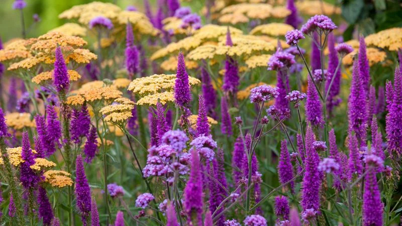 Seasonal Color Palettes