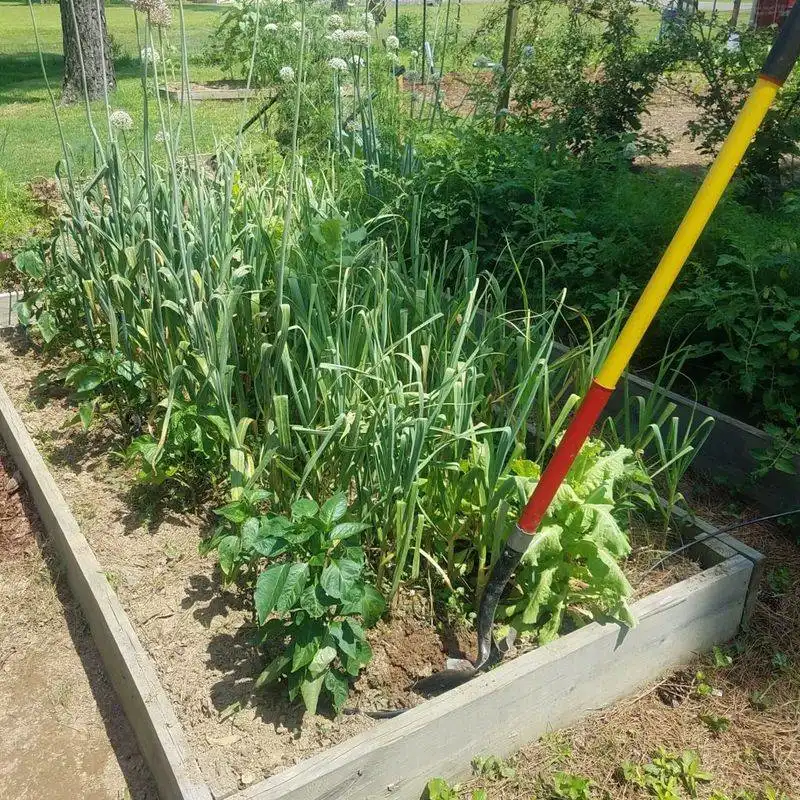Seasonal Crop Rotation