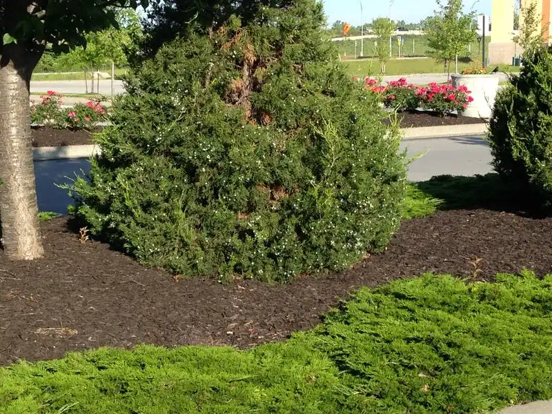 Seasonal Neglect