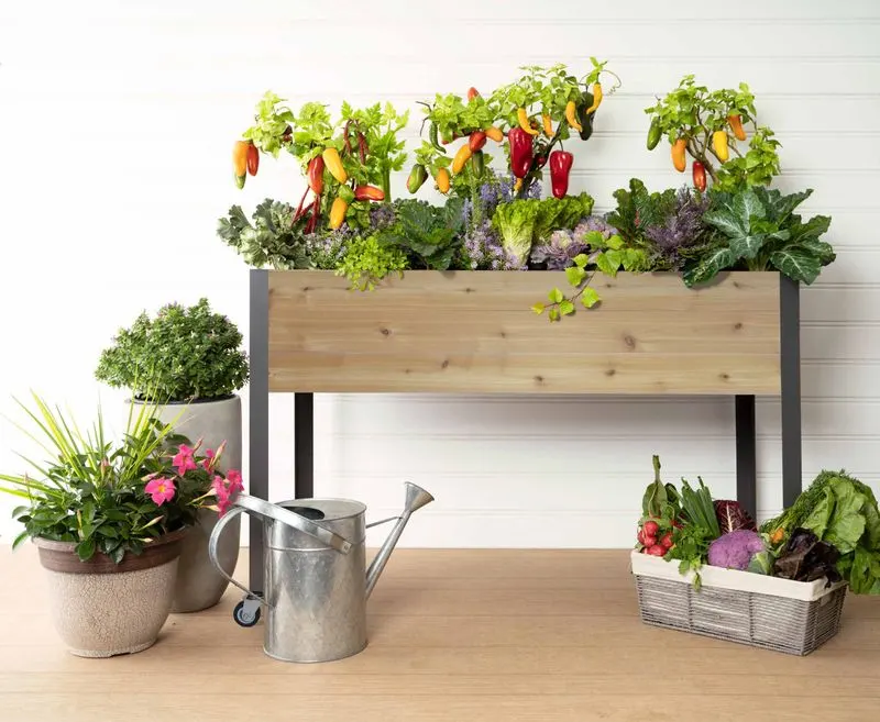Self-Watering Planters