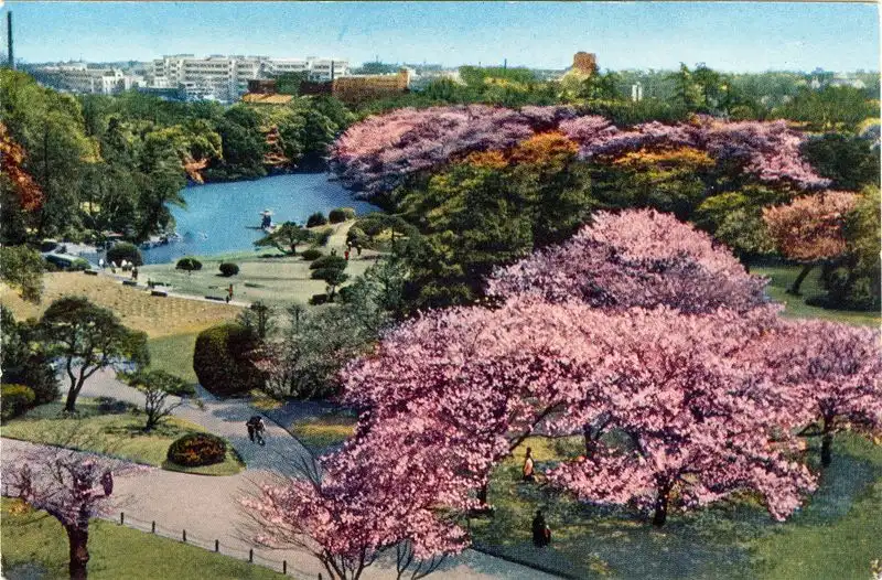 Shinjuku Gyoen National Garden, Japan