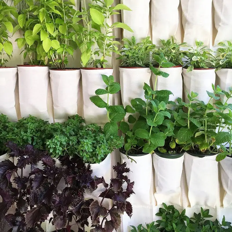 Shoe Organizer Vertical Garden