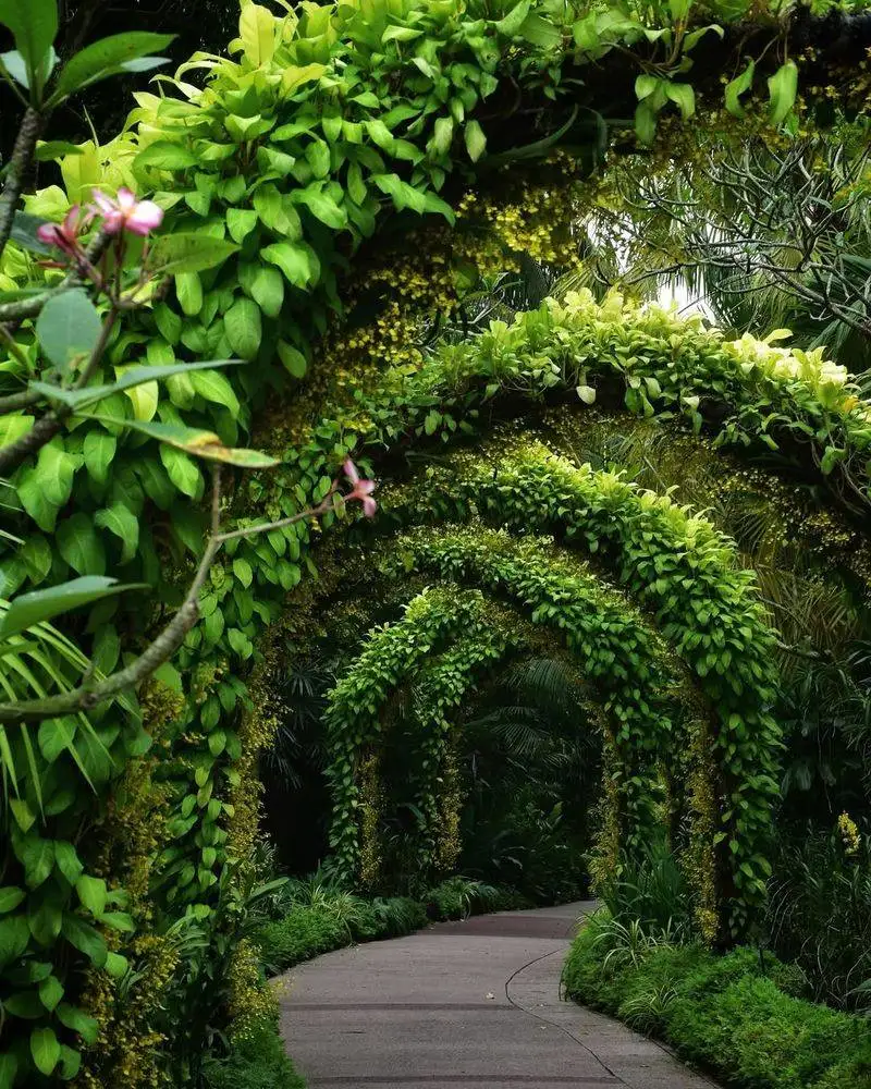 Singapore Botanic Gardens, Singapore