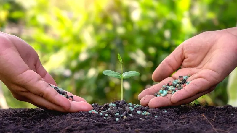 Slow-Release Fertilizers