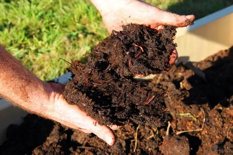 Soil Amendments
