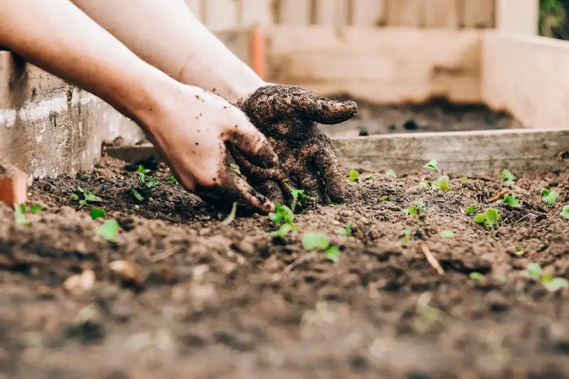 Soil Depletion