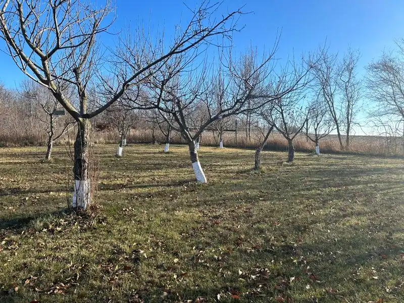Soil Health Management