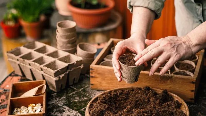 Soil for Seed Starting