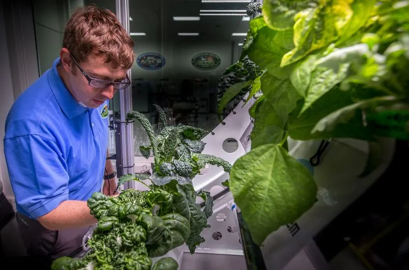 Space Plants Correctly