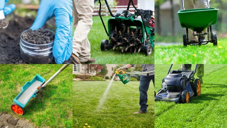 14 Spring Lawn Care Tips for a Green, Healthy Yard All Year