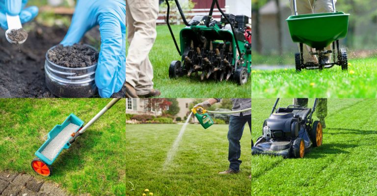 Spring Lawn Care Tips for a Green, Healthy Yard All Year