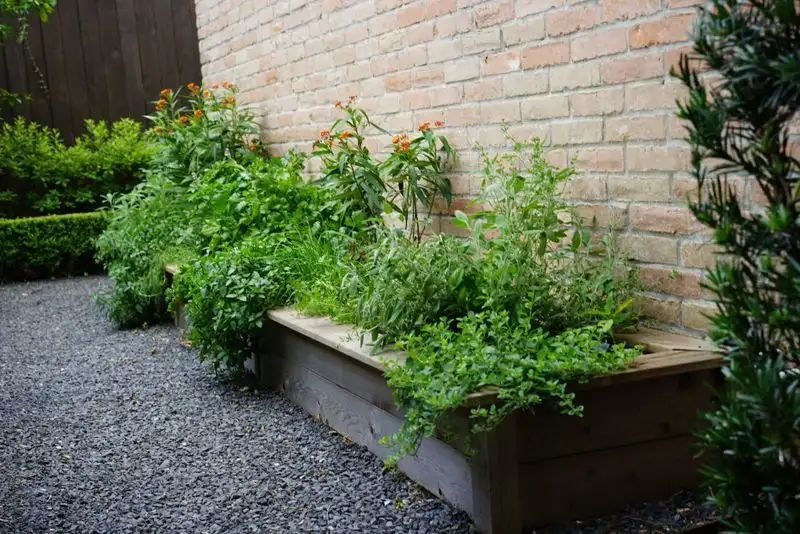 Start an Herb Garden