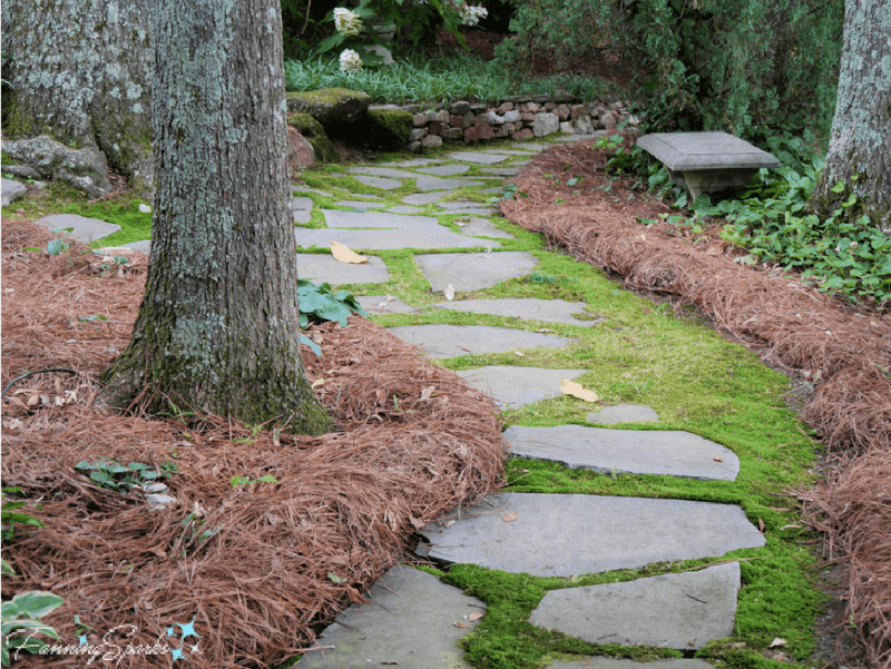 Stone and Moss Pathway