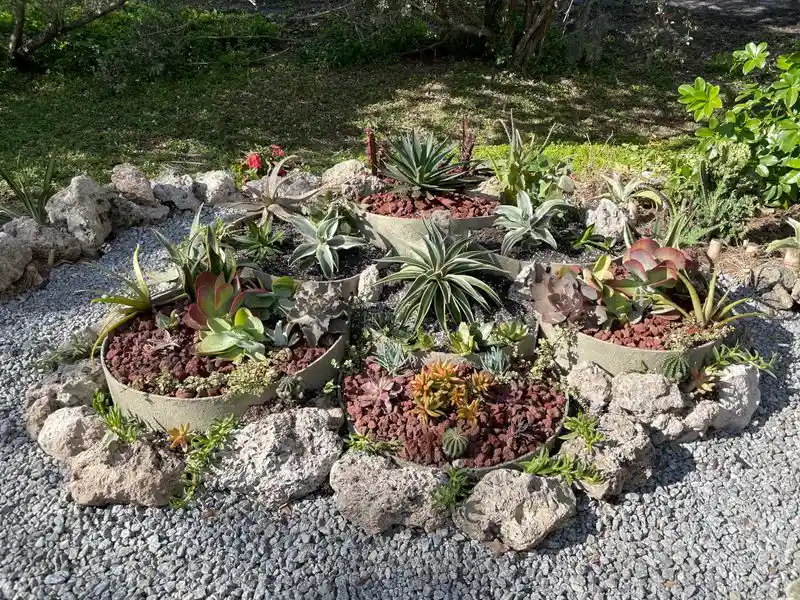 Succulent Gardens