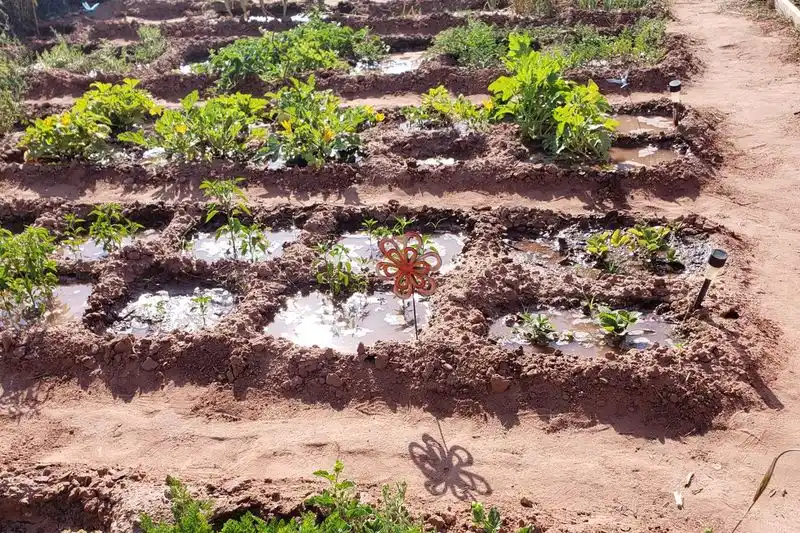 Sunken Beds for Arid Regions
