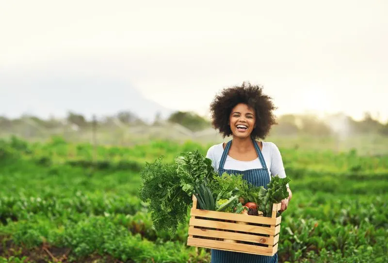 Sustainable Food Production