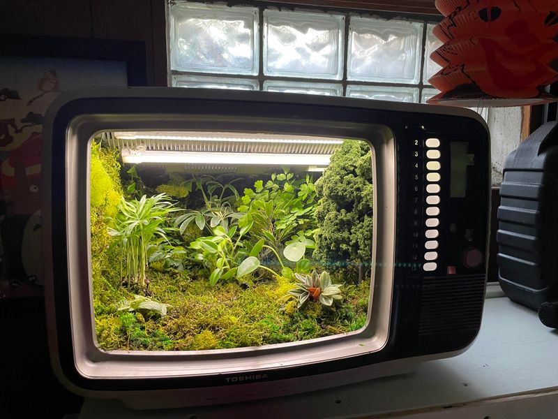 TV Stand Terrarium