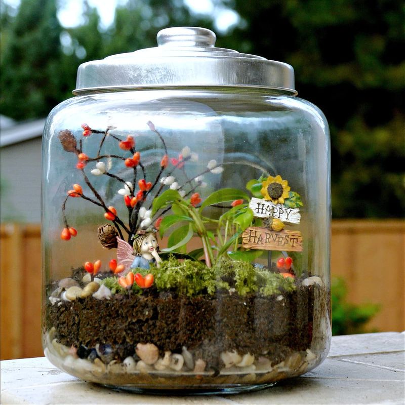 Terrariums