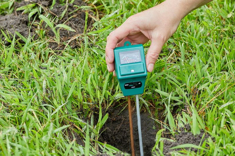 Test Soil pH Levels