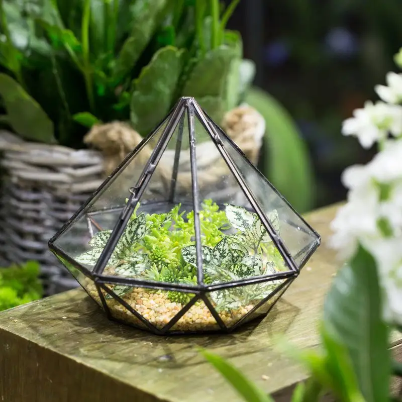 Themed Terrariums