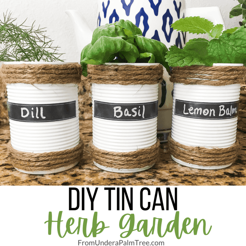 Tin Can Herb Garden